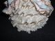 Vintage Dresden Porcelain Lady With Ruffled Lace Dress Figurines photo 2