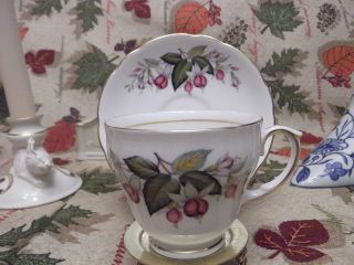 Duchess Bone China Tea Cup Saucer Pink And Fuschia Flowers - England 812 photo