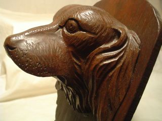 Antique Carved Wood Dog Head Match Holder 7 3/4 Tall Nicely Carved Nr photo