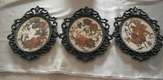 Three Victorian Style Ornate Frames With Pressed Flowers By Barbara Ferguson photo