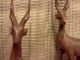 African Hand Carved Caribou Wood Wooden Figurine Pair Rustic Solid Carved Figures photo 1
