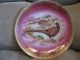 Bavaria Germany Deer & Pheasant Plates 2 Set Plates & Chargers photo 1