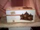 Casa Christina/embossed Vintage Containers With Tray/elegant & Beautiful/nwot Metalware photo 3