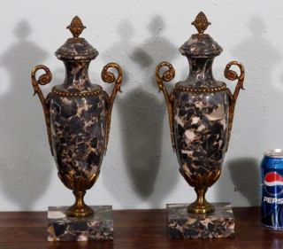 French Antique Louis Xvi Bronze & Marble Urns Vases photo