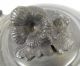 C.  1830 Best Britannia Pewter Tea Pot Metalware photo 6