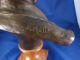Antique Bronze Bust Of Abraham Lincoln 11.  5 
