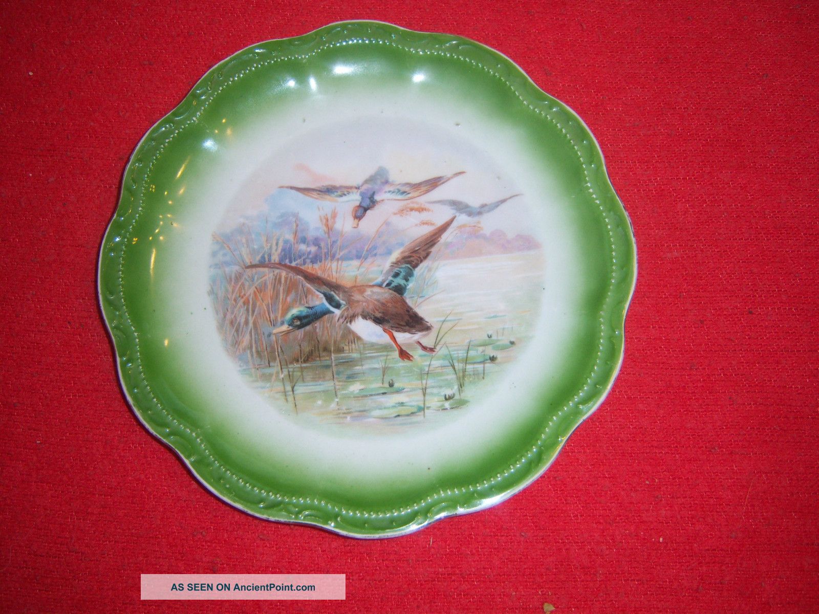 3 Three Crown China Duck Plate Germany Mallard Antique Plates & Chargers photo