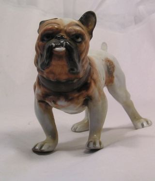 Great Vintage Bulldog Porcelain Figurine C18 photo