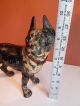 Antique Hubley Boston Terrier Doorstop Paint Metalware photo 8