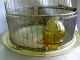 Antique Round Brass Bird Cage Made In Germany Finial Top/plastic Feeder Metalware photo 1