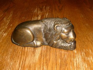 Vintage Century Brass Lion Not Plated Made In India Handcrafted photo