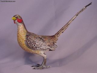 Large Antique Cold Painted Vienna Bronze Pheasant 8 - 1/4 Inches photo