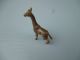 Old Or Antique Miniature Vienna Bronze Figurine Giraffe - Sculpture Austrian Metalware photo 9