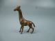 Old Or Antique Miniature Vienna Bronze Figurine Giraffe - Sculpture Austrian Metalware photo 1