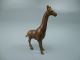Old Or Antique Miniature Vienna Bronze Figurine Giraffe - Sculpture Austrian Metalware photo 5