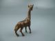 Old Or Antique Miniature Vienna Bronze Figurine Giraffe - Sculpture Austrian Metalware photo 6