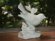 Vintage White Bisque Porcelain Bird Figurine Adorable Mint Feathers Tsc Mark Euc Figurines photo 2