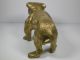 Antique Figural Bronze Bulldog Figurine/paperweight Metalware photo 3