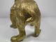 Antique Figural Bronze Bulldog Figurine/paperweight Metalware photo 4