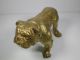 Antique Figural Bronze Bulldog Figurine/paperweight Metalware photo 6