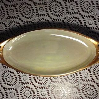 Vintage R S Tillowitz Silesia Celery Dish Hand Painted 22k Gold 1900 - 1940 photo
