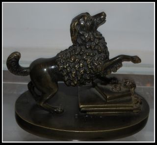 Exquisite Antique French Bronze Dog Sculpture Of A Poodle Nr photo
