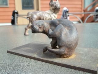 Antique Cast Iron Dog Very Unusual And Rare 1 Of 2 Listing Very Old photo