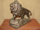 Antique Bronze Sculpture Lion Signed Painte Metalware photo 4
