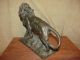 Antique Bronze Sculpture Lion Signed Painte Metalware photo 6