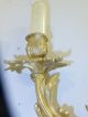Pair Of Elegant French Rococo Style Gilded Brass Sconces - - Two Arms,  Circa 1900 Lamps photo 4