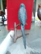 Large Rare C1900 Austrian Bronze Cold Painted Parrot On Perch Metalware photo 1