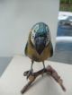 Large Rare C1900 Austrian Bronze Cold Painted Parrot On Perch Metalware photo 7