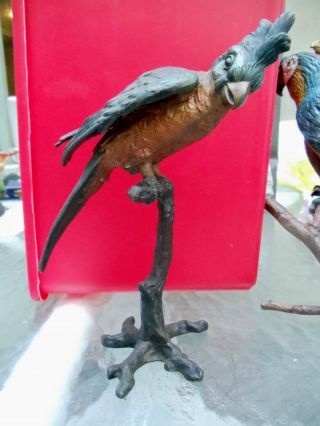 Large Rare C1900 Austrian Bronze Cold Painted Parrot On Perch Stamped photo
