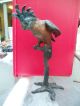 Large Rare C1900 Austrian Bronze Cold Painted Parrot On Perch Stamped Metalware photo 1