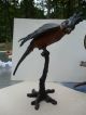 Large Rare C1900 Austrian Bronze Cold Painted Parrot On Perch Stamped Metalware photo 3