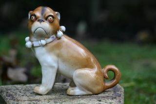 19th C.  Open Legged Pug Dog With Decorative Collar Of European Origin photo