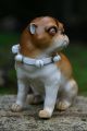 19th C.  Open Legged Pug Dog With Decorative Collar Of European Origin Figurines photo 3