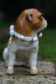 19th C.  Open Legged Pug Dog With Decorative Collar Of European Origin Figurines photo 4