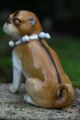 19th C.  Open Legged Pug Dog With Decorative Collar Of European Origin Figurines photo 7
