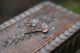 19th C.  Black Forest Oak Wooden Box With Flower & Leaf Carvings To Top Boxes photo 8