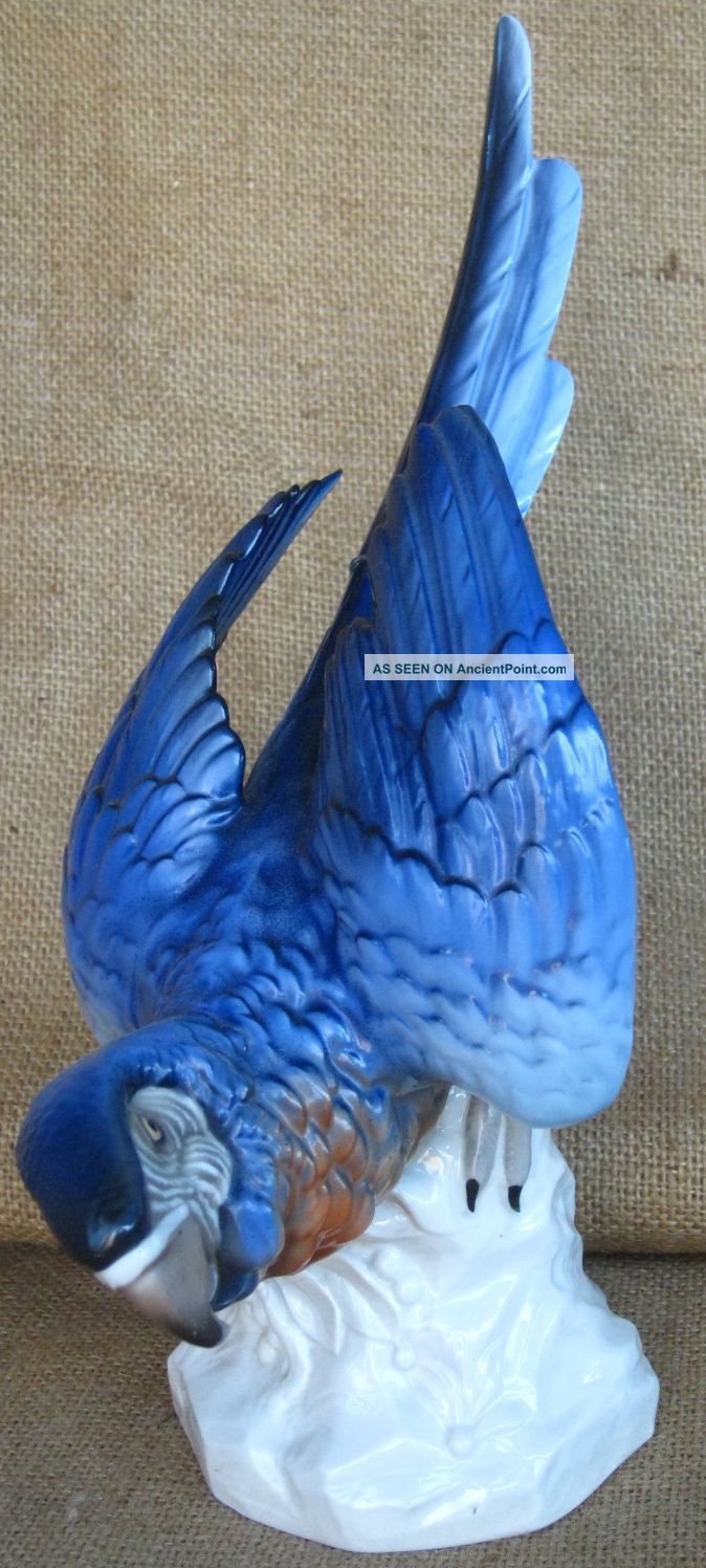 Blue Macaw Parrot Porcelain Figurine Uniter Weiss Bach Germany Bird Rare Large C Figurines photo