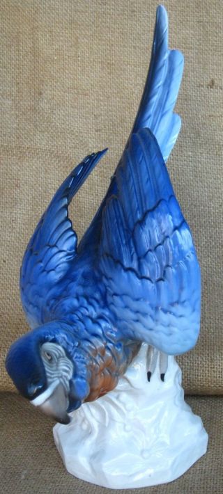Blue Macaw Parrot Porcelain Figurine Uniter Weiss Bach Germany Bird Rare Large C photo