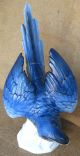 Blue Macaw Parrot Porcelain Figurine Uniter Weiss Bach Germany Bird Rare Large C Figurines photo 1
