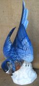 Blue Macaw Parrot Porcelain Figurine Uniter Weiss Bach Germany Bird Rare Large C Figurines photo 6