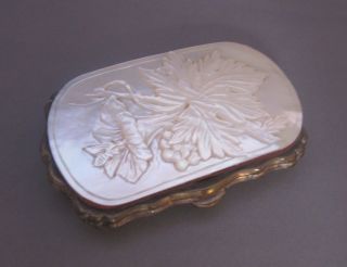 Exquisite 1850 French Mother Of Pearl Purse photo