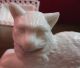 Antique Victorian Lacy Milk Glass Cat Dish Dated 1889 Atterbury ? Fabulous Dishes photo 9