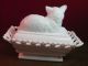 Antique Victorian Lacy Milk Glass Cat Dish Dated 1889 Atterbury ? Fabulous Dishes photo 1