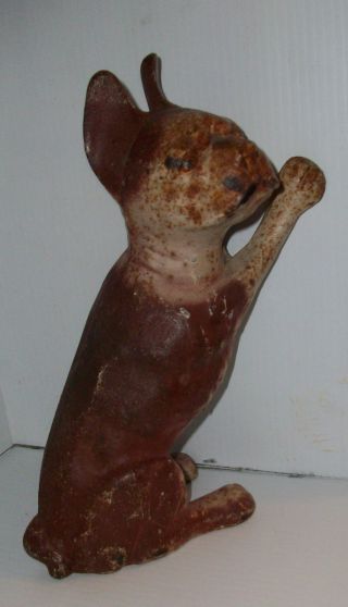 Rare Antique Painted Cast Iron Figure Of A French Bulldog In Standing Position photo
