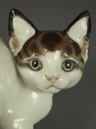 Antique Rosenthal German Porcelain Kitty Cat Figurine photo