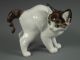 Antique Rosenthal German Porcelain Kitty Cat Figurine Figurines photo 2